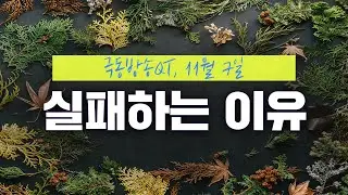 [경건생활 365] 11월 7일 - 실패하는 이유