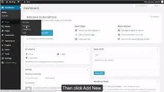 WordPress - Writing a Post