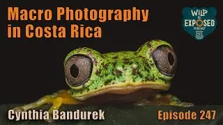 Macro Photography in Costa Rica - Wild and Exposed Podcast