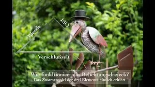 Was ist das Belichtungsdreieck - wie wende ich es an?