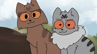 More Kittens
