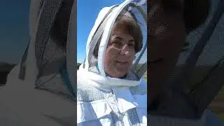 20 апреля 2024 г.