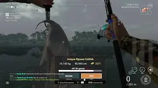 Fishing Planet   Amazonian Maze   Unique Ripsaw Catfish
