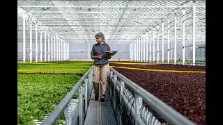 Pure Harvest | Advertising