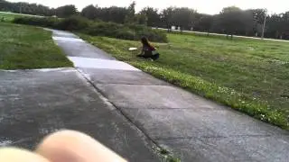 Should have stood up