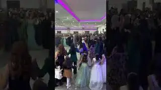 Musti müzik halay2