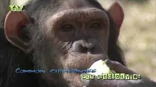 Me and my Apple