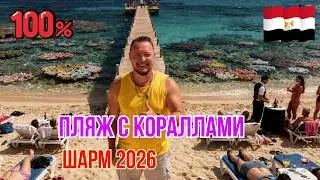 A WINDLESS BEACH in Sharm – perfect for kids! Palma Beach