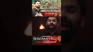 Shimr Kehta Tha Sakina (S.A) Ko | Shadman Raza |New Nohay 2024 #shadmanraza #muharram2024