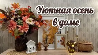 🍁ОСЕННИЙ ДЕКОР /🤎WILDBERRIES OZON ДЛЯ ДОМА / 🕯️НОВИНКИ FIX PRICE / ✨ЧИСТАЯ КУХНЯ🍂