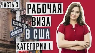 ВИЗА В США 🇺🇸 | Работа в США | Рабочая виза в США категории L