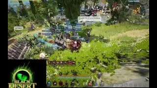 Murr vs Chaos