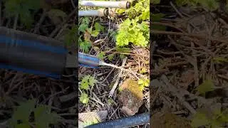 Самоизливная абиссинская скважина 