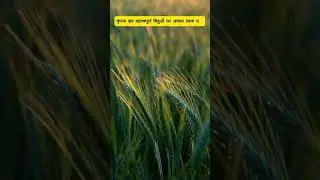 खाद के लिए टोकन कैसे बनाए