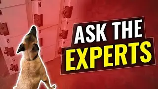 Working exterior hides | Ask the experts.