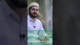 #мухаммад лоик кори сангардак шаршарасида