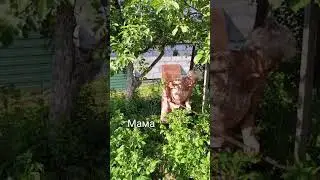 С  пятницей Как ваше лето проходит?