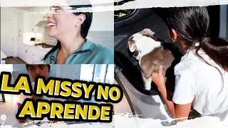 ME REGALARON LO QUE NECESITABA ♥️ - MISSY NO APRENDE 🥹
