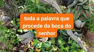 A Disciplina do senhor no Caminho para a Boa terra Deuteronômio 8:1-9