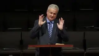 Молодые ослы или золотые венцы