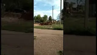 Снос сараев водворе