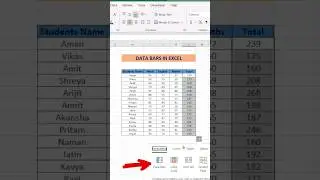 EXCEL DATA BARS