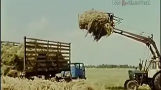 1988 год.  Совхоз им  50 летия СССР, Дубовский район Волгоградской области