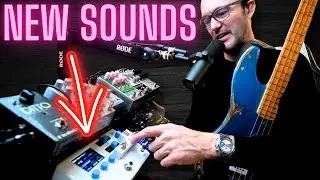 Programming HX Stomp For Bass | The Janek Gwizdala Podcast 