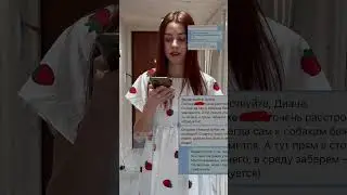 Почему хозяева не дают успокоительные своим питомцам? Зоогостиница Петрозаводск