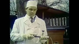 Болезни и вредители пчел