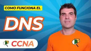 What is DNS and how do I configure it in Cisco Packet Tracer? 🌐