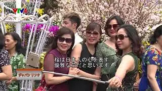 Japan Link - 07/04/2019