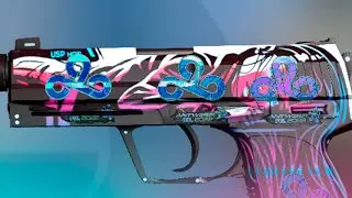 [USP-S | Neo-Noir] Sticker Combinations - CSGO