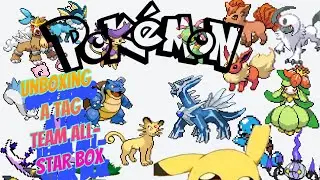 Tag Team All-Star Box sm12a