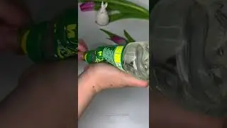 Идея подарка к 8 марту 