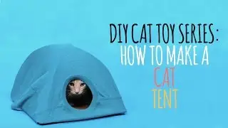 DIY Cat Toys - How to Make a Cat Tent