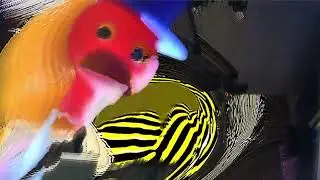 Drinky Bird in a feedback vortex