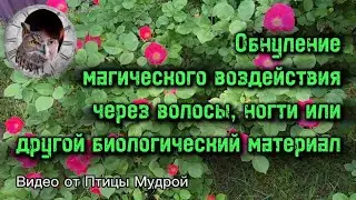 Как обнулить магическое воздействие через волосы, ногти и другой биоматериал?