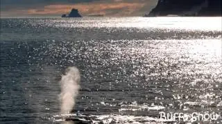 Raul di Blasio - Solo