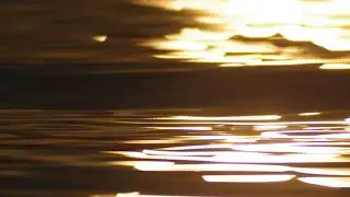 отблики солнца в воде 15.08.2019 [тест 8]