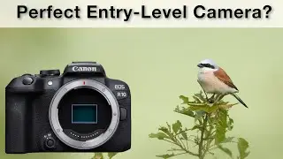 Canon R10 Review - The perfect entry-level camera?