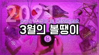 🎱3월의 볼땡이 [질문에 족집게처럼 한마디로 대답해드려요]