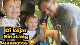 GAGAL PANEN BUAH GARA-GARA A***G 🤣