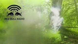Sebastian Mullaert at Lighthouse Festival