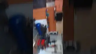 Куда пропал Палыч?