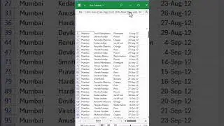 Custom view to store multiple filters in excel 