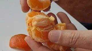 İLGİNÇ MANDALİNA