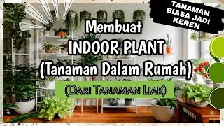 Cara Memanfaatkan Tanaman Liar Untuk Membuat Dekorasi Di dalam Ruangan.