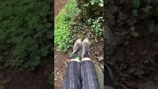On nature bench taking off socks and converse when a cute westie pooch says hello 🐶