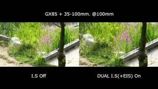 GX85 + 35-100mm, dual i.s test - hand held